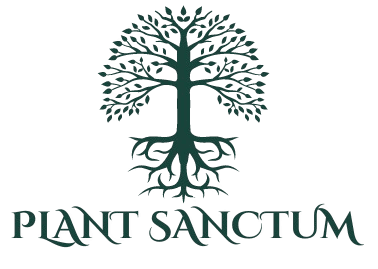 Plant Sanctum : Where Trees, Flowers, and Plants Thrive